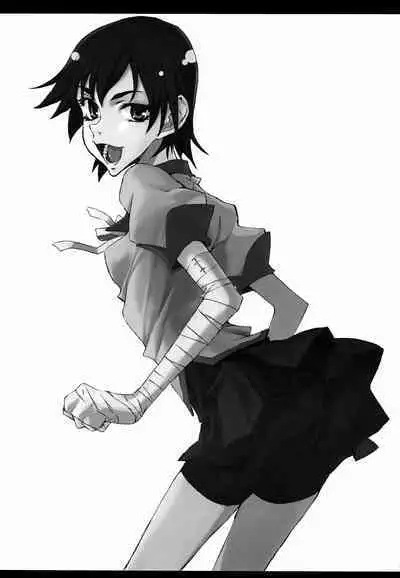 Bakemonogatari Hon Soushuuhen