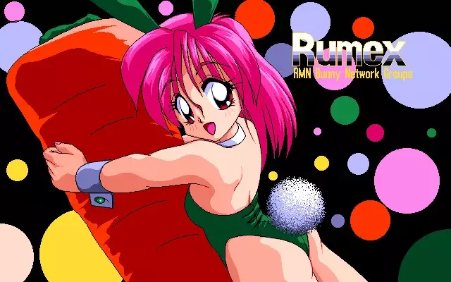 Sailor Bunny Gashuu Sono Ichi