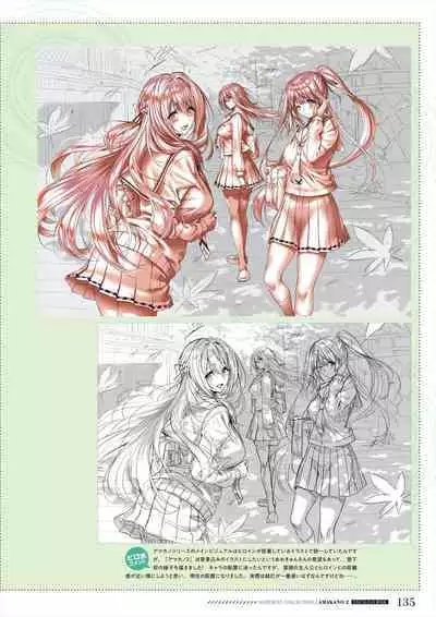 Amakano 2 Visual Fan Book