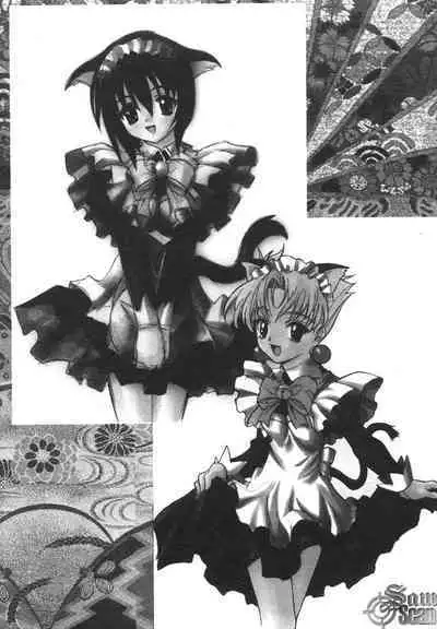 The Flower in Paris | 櫻華大綻之巴黎慾火