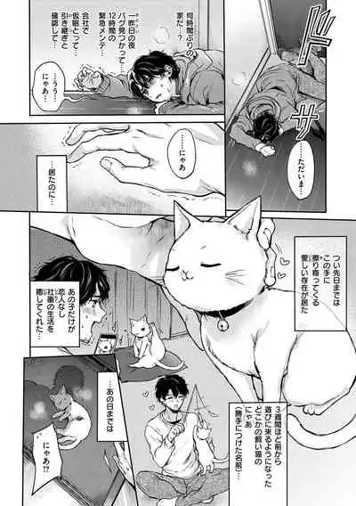 Yumeutsutsu Romantic