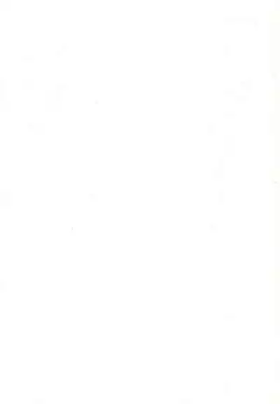 (C52) [MISTY MIDNIGHT (Shirasaka Miyu)] Kodochacchi (Kodomo no Omocha)